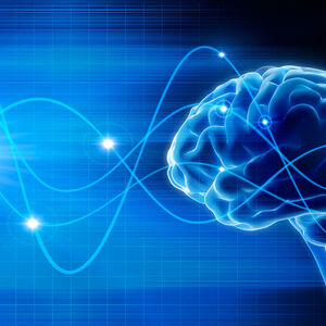 brain illustration