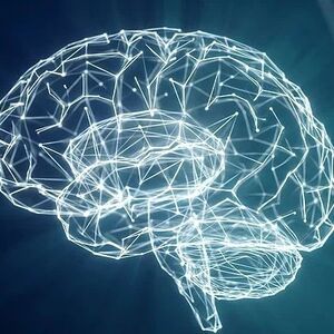 brain illustration